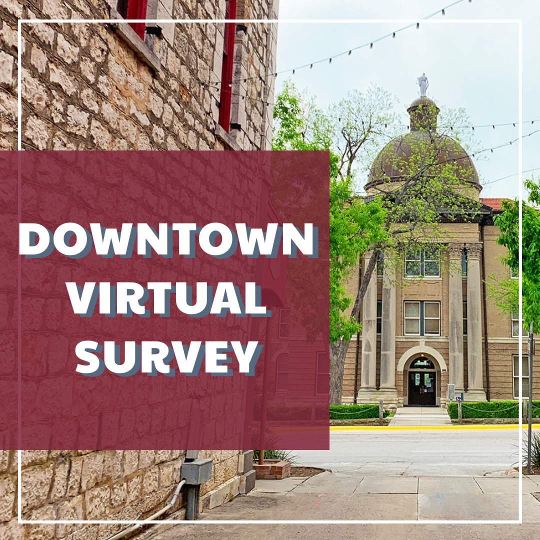 Downtown Survey